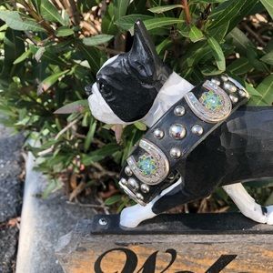 Paco collar horse shoe 🐴